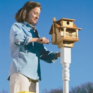 Build a Back Yard Birdhouse