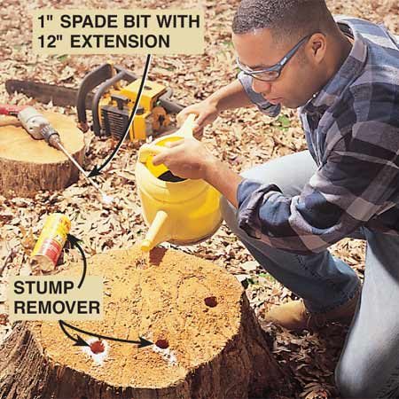 Chemical Stump Remover Minneapolis MN
