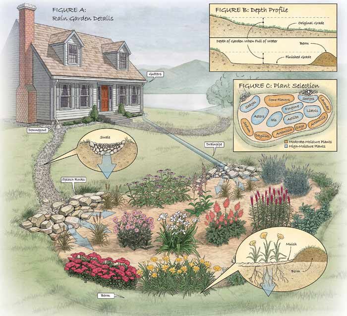 Figure A Rain Garden Details