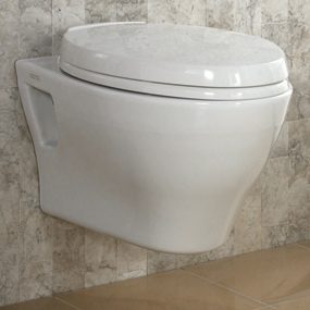 A wall-hung toilet