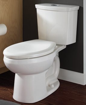 A dual-flush toilet