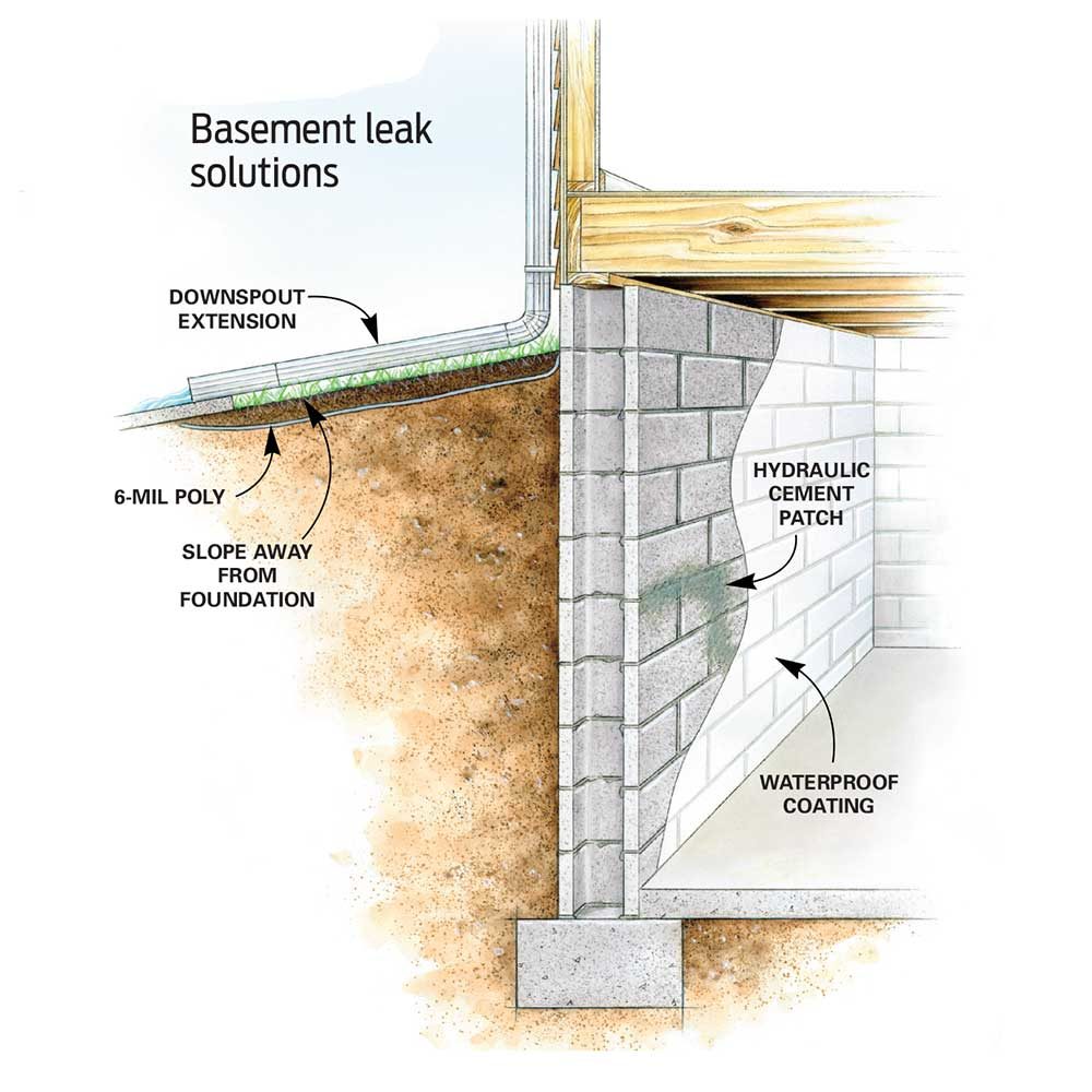 Affordable Ways to Dry Up Your Wet Basement For Good! | The Family ...