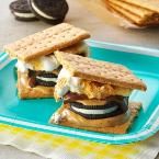 16 New Ways to Make S'mores