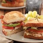 Sandwich Recipes Across America