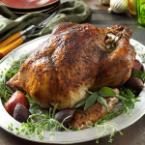 Roasted Turkey Recipes