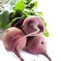 How to Grow Beets Photo
