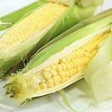 How to Grow Corn Photo