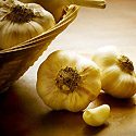 How to Grow Garlic Photo