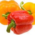 How to Grow Peppers Photo